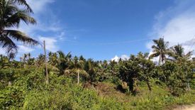 Land for sale in Buhing Calipay, Surigao del Norte