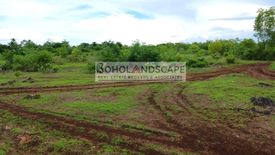 Land for sale in Tawala, Bohol