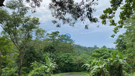 Land for sale in Dela Paz, Rizal