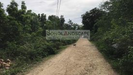 Land for sale in Danao, Bohol