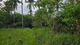 Land for sale in San Vicente Sur, Bohol