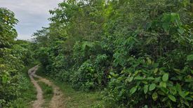 Land for sale in San Vicente Sur, Bohol