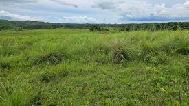 Land for sale in Buenavista, Bohol