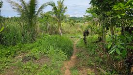 Land for sale in Buenavista, Bohol