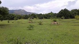 Land for sale in Malimanga, Zambales