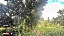 Land for sale in Cabay, Quezon