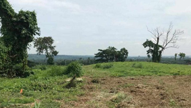 Land for sale in Canlubang, Laguna