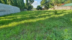 Land for sale in Sinura, Pampanga