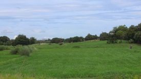 Land for sale in Unzad, Pangasinan