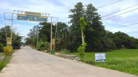 Land for sale in Unzad, Pangasinan