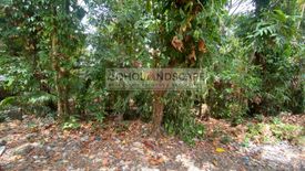 Land for sale in Poblacion III, Bohol