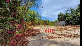 Land for sale in Tunga, Cebu