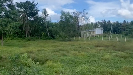 Land for sale in Alimanguan, Palawan