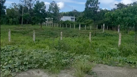 Land for sale in Alimanguan, Palawan