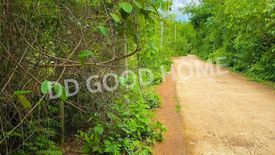 Land for sale in Phra Bat, Lampang