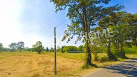 Land for sale in Salaeng Phan, Surin