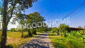 Land for sale in Salaeng Phan, Surin