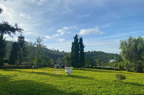 Land for sale in Nong Mae Na, Phetchabun