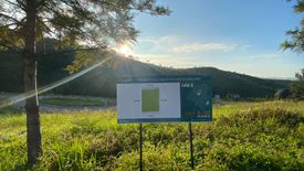 Land for sale in Nong Mae Na, Phetchabun