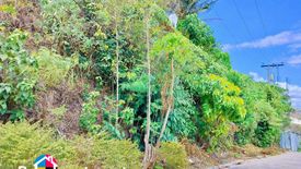 Land for sale in Tisa, Cebu