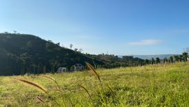 Land for sale in Nong Mae Na, Phetchabun