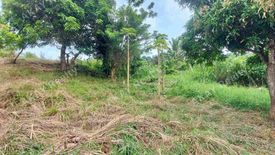 Land for sale in Tolentino West, Cavite