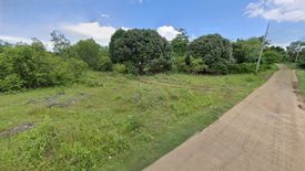 Land for sale in Bolod, Bohol