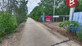 Land for sale in Tha Sala, Khon Kaen