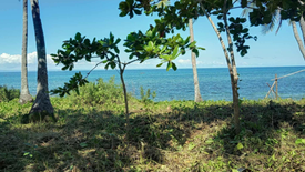 Land for sale in Montealegre, Cebu