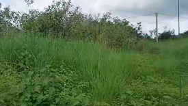 Land for sale in Pulangbato, Cebu