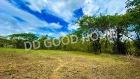 Land for sale in Luang Nuea, Chiang Mai