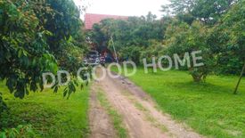 Land for sale in Mueang Ngai, Chiang Mai