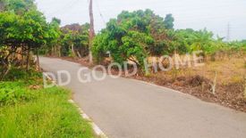 Land for sale in Saraphi, Chiang Mai