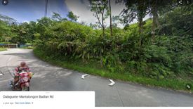 Land for sale in Mantalongon, Cebu