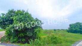 Land for sale in Sao Thong Hin, Nonthaburi near MRT Talad Bang Yai