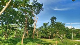 Land for sale in Laiya-Aplaya, Batangas