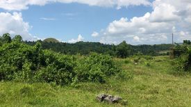 Land for sale in Tambo-An, Bohol