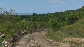 Land for sale in Bayacabac, Bohol