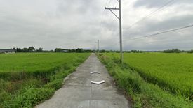 Land for sale in Matatalaib, Tarlac