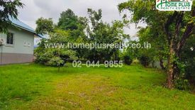 Land for sale in Nong Bua, Nong Bua Lamphu