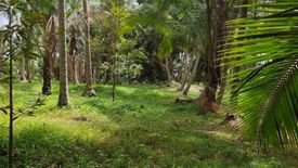 Land for sale in Bang Nam Chuet, Chumphon