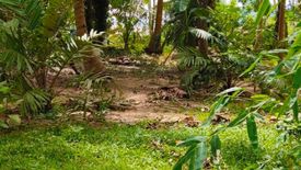 Land for sale in Bang Nam Chuet, Chumphon