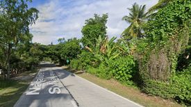 Land for sale in Binlod, Cebu