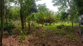 Land for sale in Del Remedio, Laguna