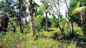 Land for sale in Manalo, Palawan