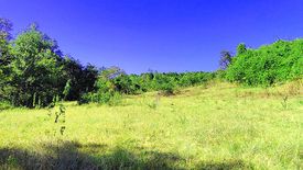 Land for sale in Santa Cruz, Palawan