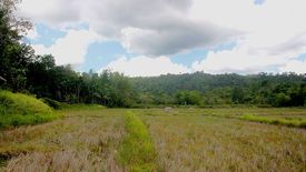 Land for sale in Malcampo, Palawan