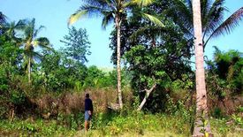 Land for sale in Manalo, Palawan