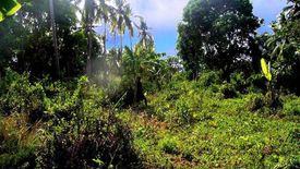 Land for sale in Manalo, Palawan