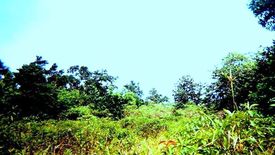 Land for sale in Sandoval, Palawan